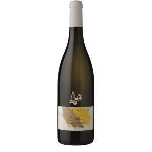 ELENA WALCH Alto Adige Doc Chardonnay Cardellino 2022 cl.75
