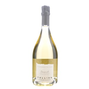 TELLIER Champagne Extra Brut Cramant Blanc de Blancs 2017 Cl.75