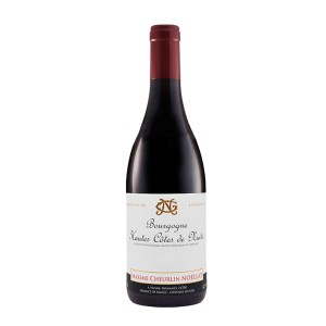 DOMAINE GEORGES NOELLAT Bourgogne R.Pommard LES SAUSSILLES Cl75 2019