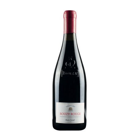 PAUL CLOUET Bouzy Rouge Coteaux 2016 Cl.75