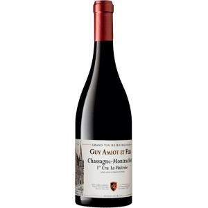 DOMAINE GUY AMIOT Bourgogne Pinot Noir CUVEE SIMONE 2021 cl.75