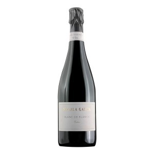 Nicola Gatta Blanc De...