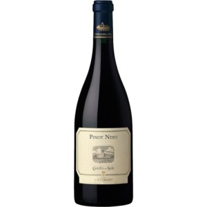 VIGNE MARINA COPPI Colline...
